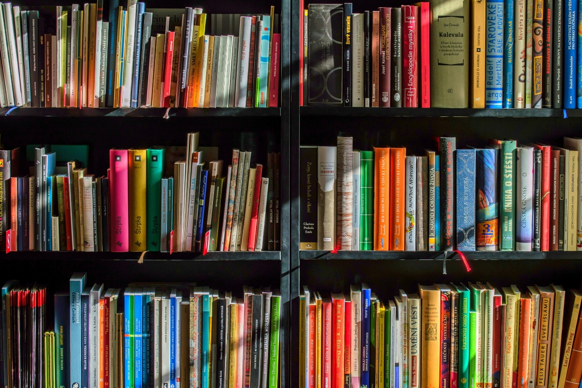 LittleGuide Detroit Books Stock